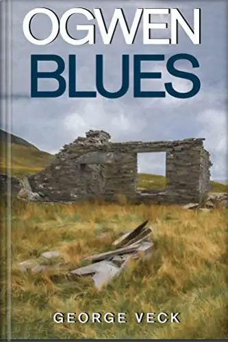 Ogwen Blues: A tense, claustrophobic rural psychological family drama set in North Wales
