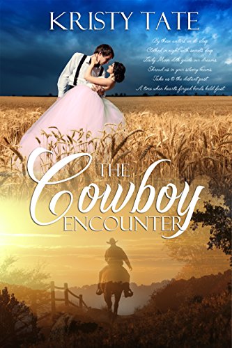 The Cowboy Encounter: a time-travel romance 