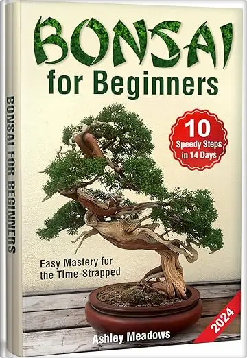 Bonsai for Beginners