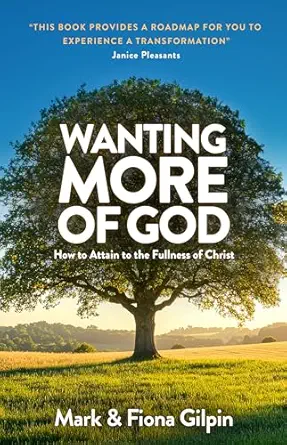 Wanting More of God