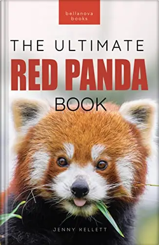 Red Pandas The Ultimate Book